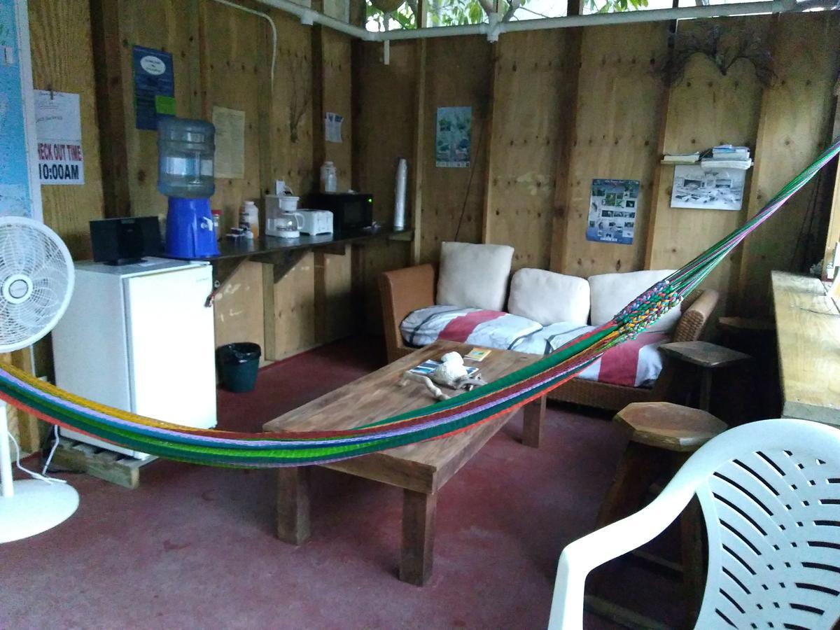 Placencia Hostel Eksteriør billede